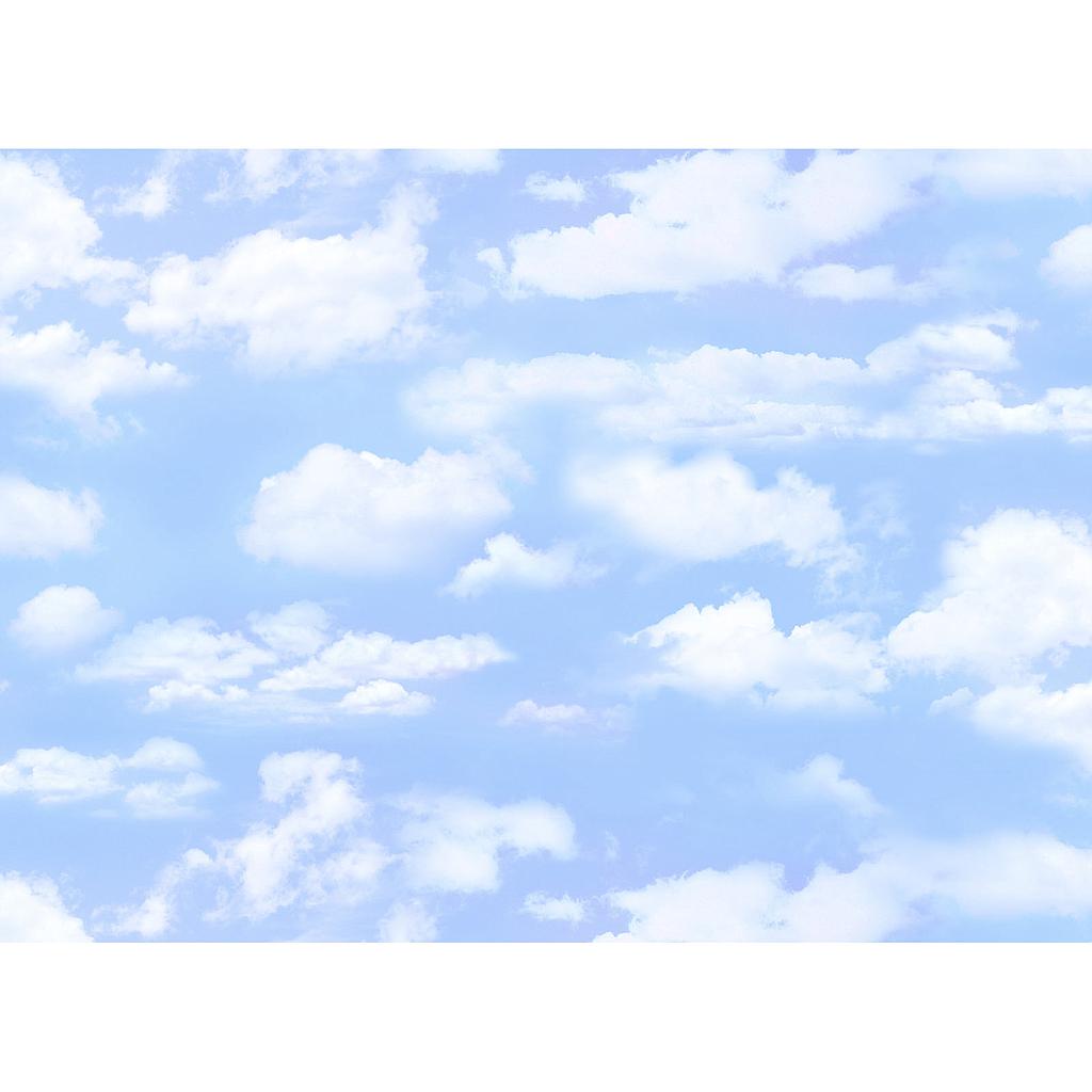 els505-ltblu, Landscape Medley